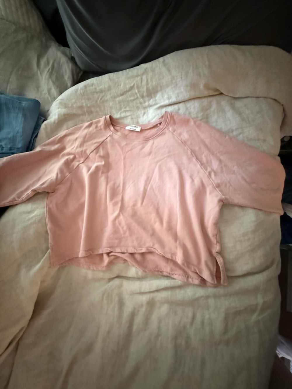 Zenana Outfitters Dusty Rose Cropped Crewneck Sweatshirt